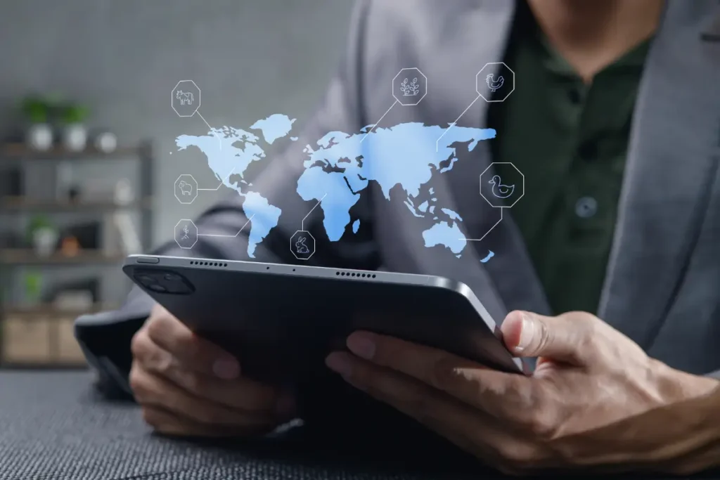 Software de Gestão Financeira Para Reduzir Custos